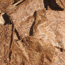 Banana Chia Crackers
