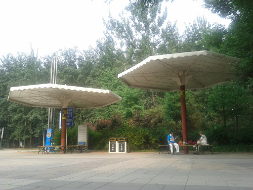 朝阳公园-双塔伞