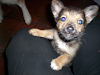 Me Abandonaron Por Favor Quiero Una Familia