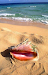 Playas Uvero Altopunta Cana 31481 Metros Cuadr