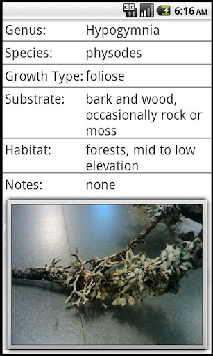 Lichen Guide