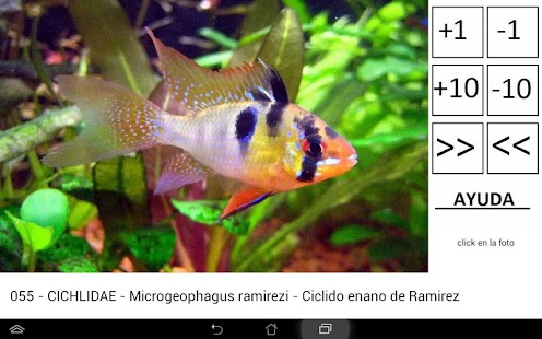 How to get Peces de acuario de agua dulce lastet apk for pc