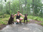 mountain dogs