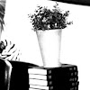 Stack of Books