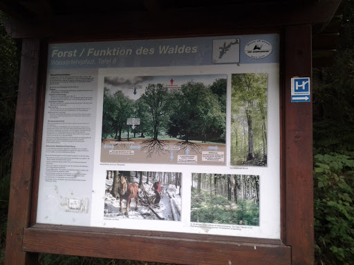 Forst/ Funktion des Waldes