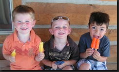 MINOLTA DIGITAL CAMERA         