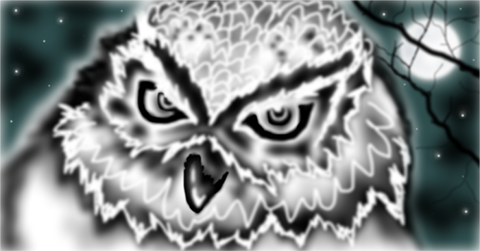 Owl :)