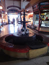 Fuente Interior Mercado