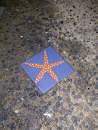 Starfish Mosaic