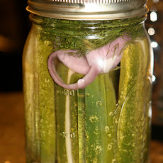 Refrigerator Dill Pickles