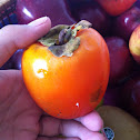 Persimmon