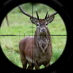 Deer Hunt: Rifle Shot Kill Apk