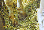 Senza titolo-4.jpg