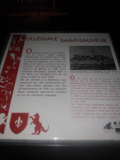Collégiale Saint Sauveur