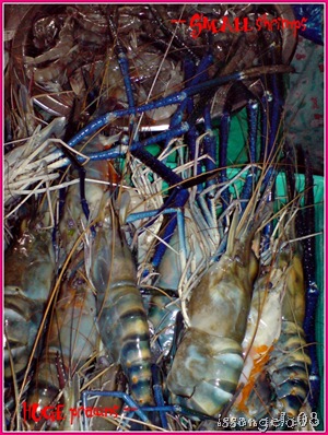 shrimps and giant prawns