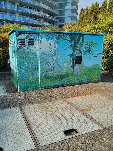 Forest Power Box