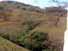 28 Hectares Farm In The Hart Of Of San Jose