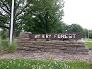 Mt. Airy Forest