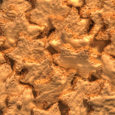 Zimtsterne (Cinnamon Star Cookies)