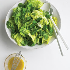 Tender Lettuce Salad
