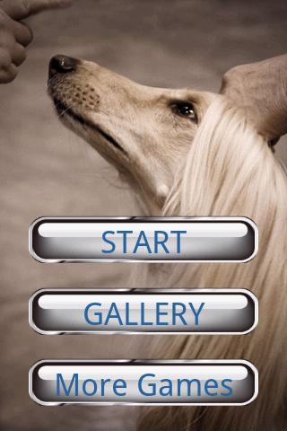 Dog Puzzle: Afghan Hound