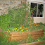 Frontyard