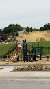 Lewis Park Playground