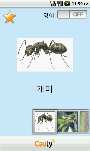 아기영어 곤충