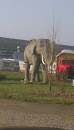 Elefant V Cirkusland