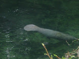 IMG_3304.jpg