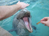 Picture 127.jpg