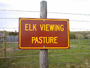 Elk Viewing Pasture - Bear River State Park