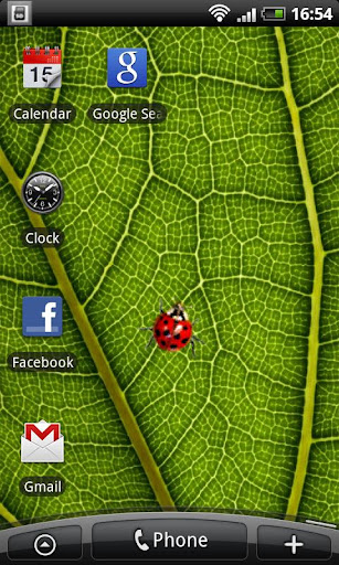 Ladybug - Live Wallpaper