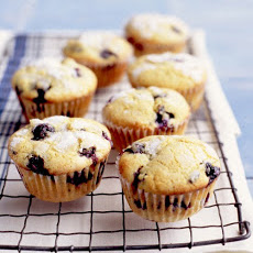 Double Blueberry Muffins