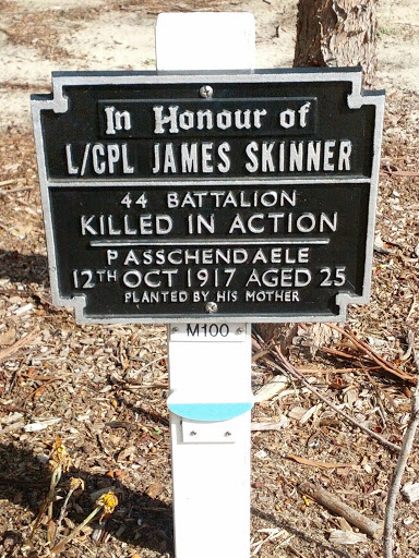 Lance Corporal James Skinner Memorial