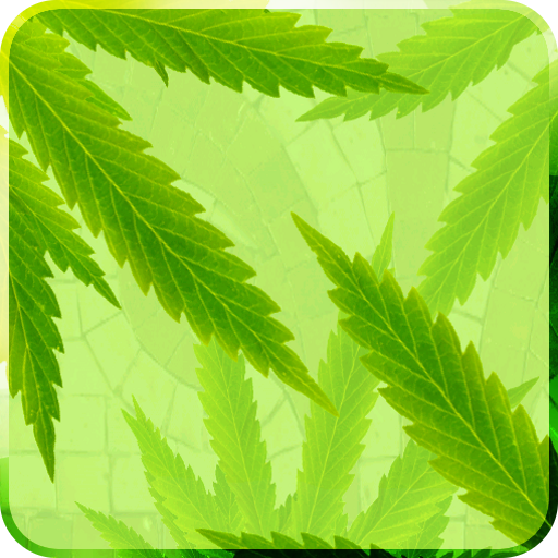 MaryJane Live Wallpaper LOGO-APP點子