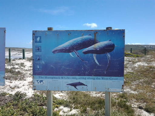 Humpback Whale Migration Information Board