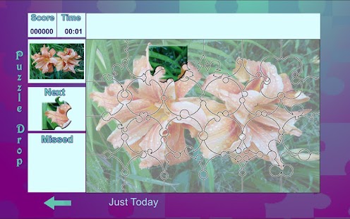 How to install Puzzle Drop - Flower Set 1.0 unlimited apk for laptop