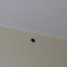 Lady bug