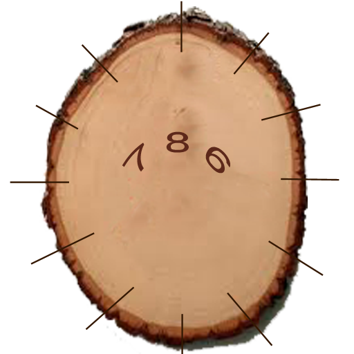 Wood Clock LOGO-APP點子