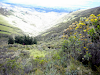 Venta De Hacienda De 489027 Ha