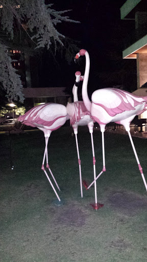 Flamingos Threesome
