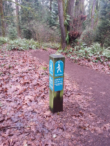 City of Bellevue Trail System Marker 