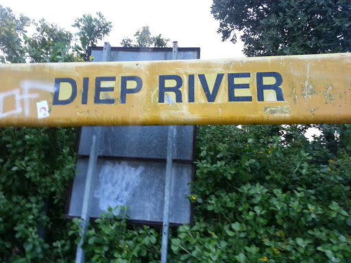 Diep River Station