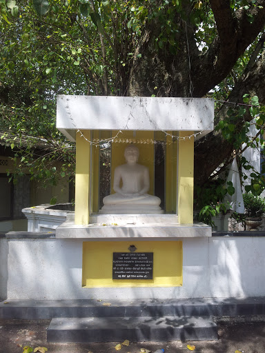Buddha Statue at Sri Hathbodhi Viharaya