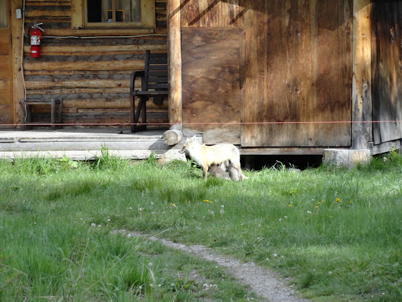 Spotting Image 1