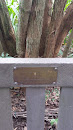 Papa JP Memorial Bench