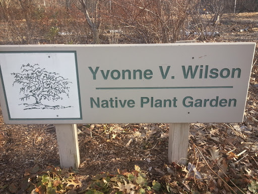 Wilson Native Plant Garden
