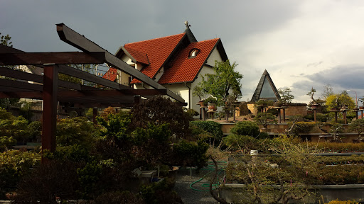 Stare Mesto - Bonsai Garden