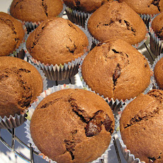 Chocolaty Chocolate Chip Whole Wheat Muffins